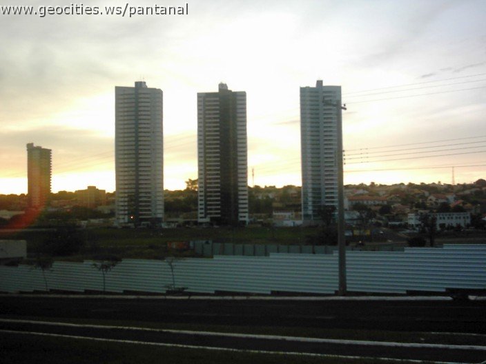 3591_geocities_ws_pantanal.jpg