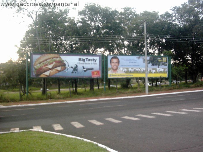 3592_geocities_ws_pantanal.jpg