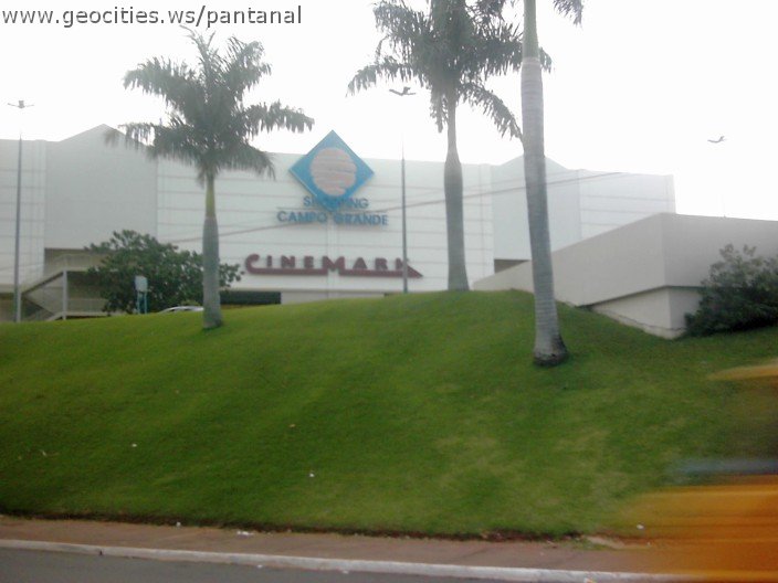 3603_geocities_ws_pantanal.jpg