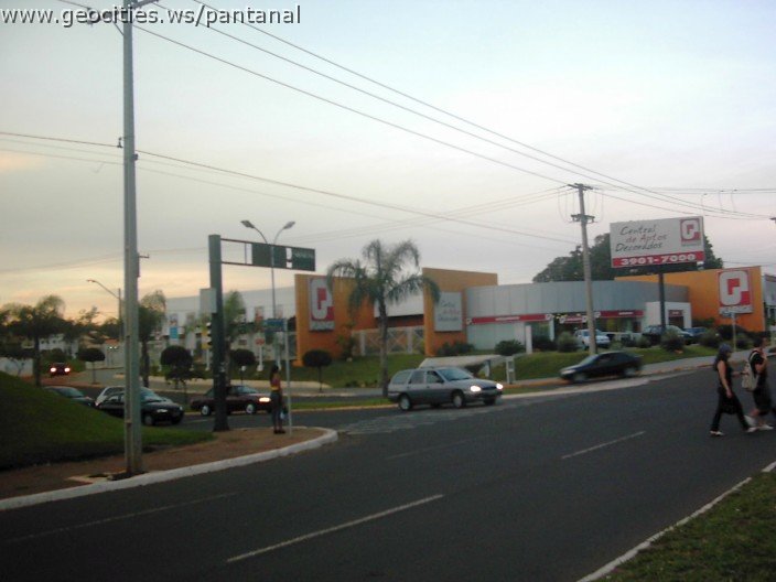 3605_geocities_ws_pantanal.jpg