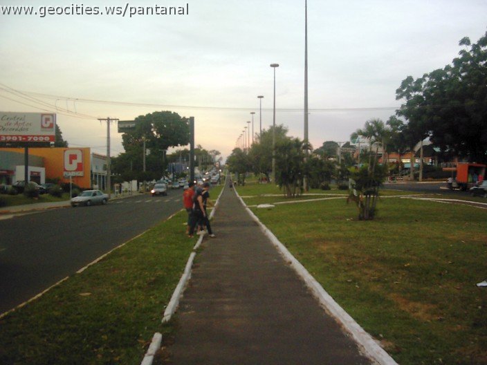 3606_geocities_ws_pantanal.jpg