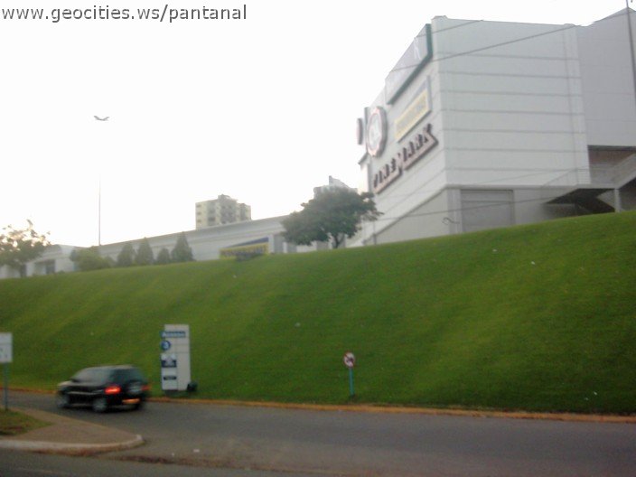 3608_geocities_ws_pantanal.jpg