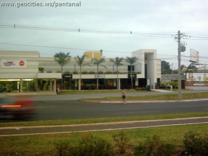 3609_geocities_ws_pantanal.jpg