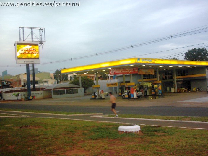 3611_geocities_ws_pantanal.jpg