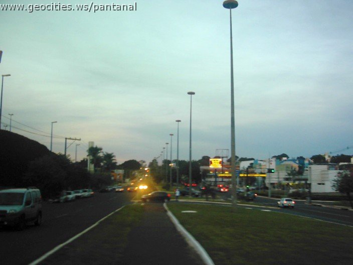 3615_geocities_ws_pantanal.jpg