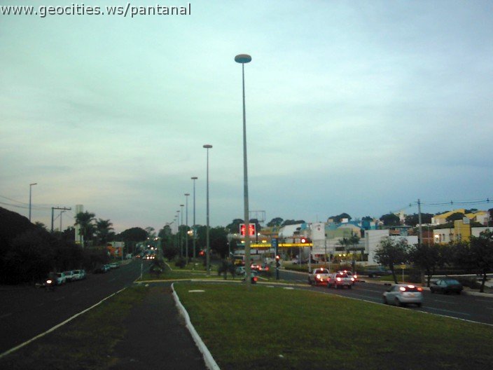3617_geocities_ws_pantanal.jpg