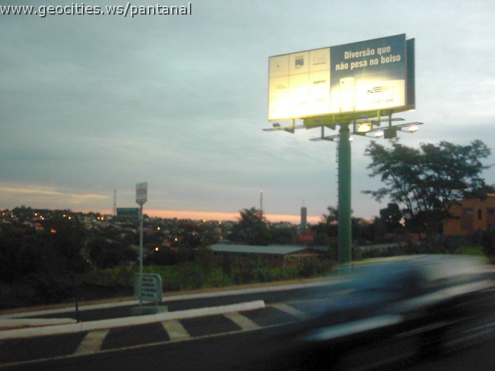 3627_geocities_ws_pantanal.jpg