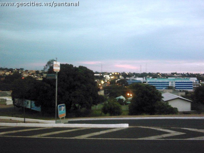 3630_geocities_ws_pantanal.jpg