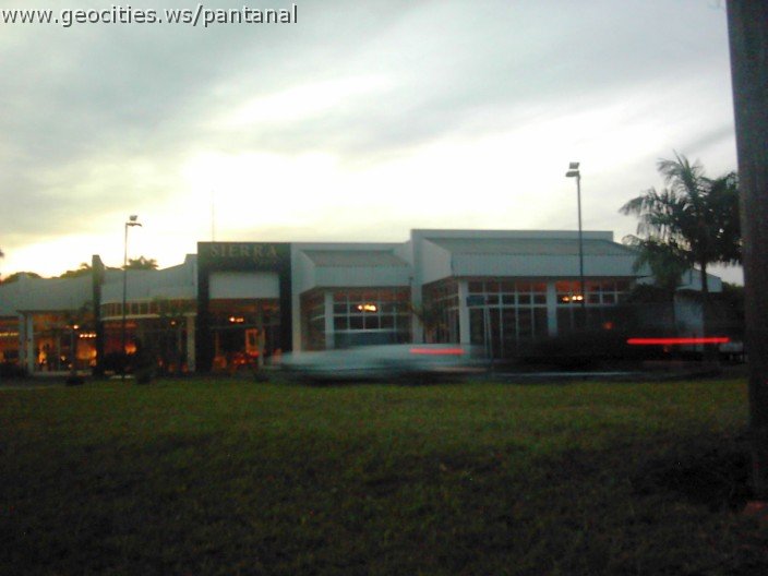 3631_geocities_ws_pantanal.jpg