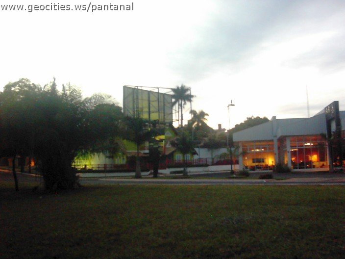 3634_geocities_ws_pantanal.jpg