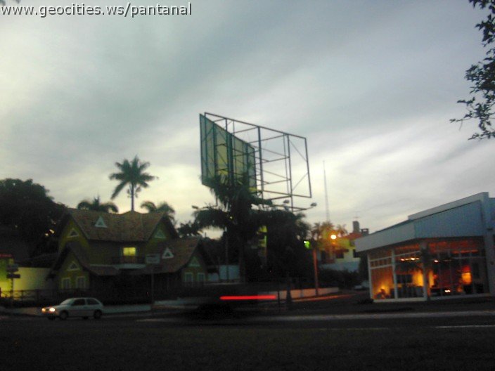 3635_geocities_ws_pantanal.jpg