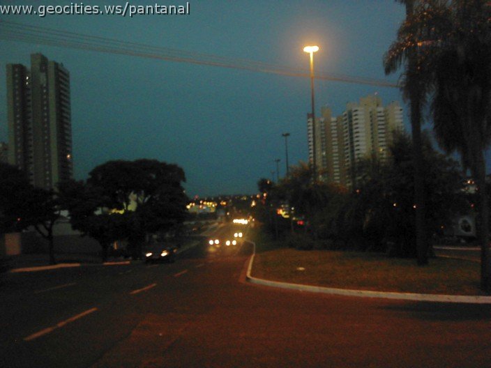 3649_geocities_ws_pantanal.jpg