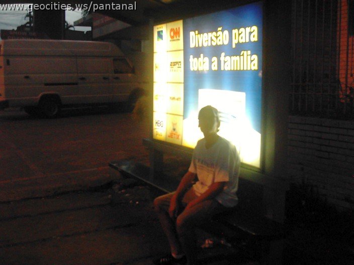 3651_geocities_ws_pantanal.jpg