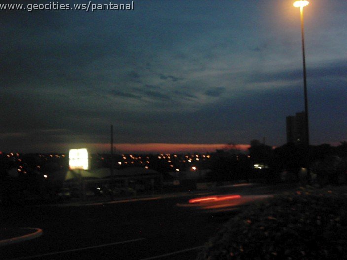 3659_geocities_ws_pantanal.jpg