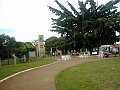 3555_geocities_ws_pantanal
