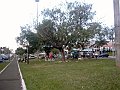 3599_geocities_ws_pantanal
