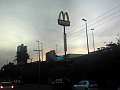 3612_geocities_ws_pantanal