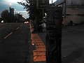 3653_geocities_ws_pantanal