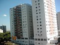 3685_geocities_ws_pantanal