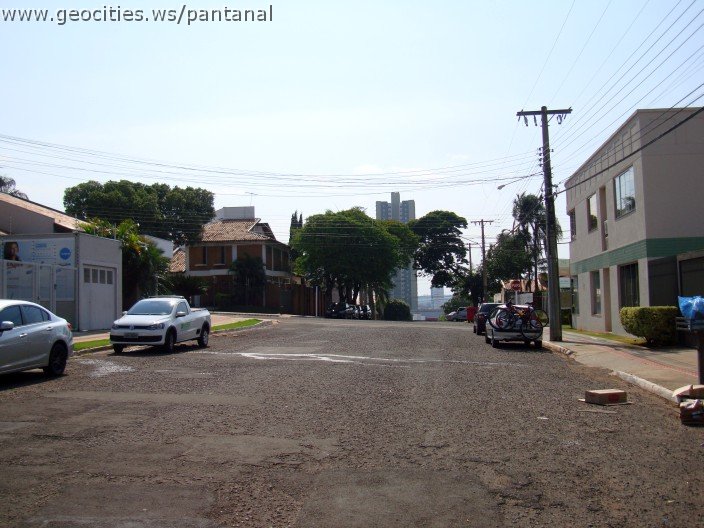 3388-geocities-ws-pantanal.jpg
