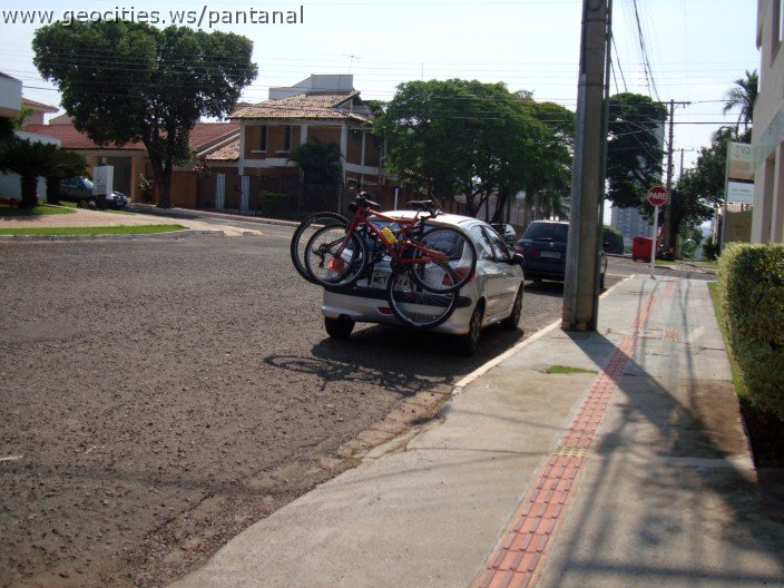 3389-geocities-ws-pantanal.jpg