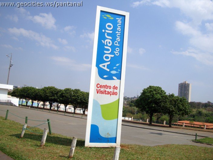 3412-geocities-ws-pantanal.jpg