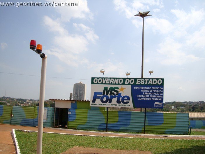 3416-geocities-ws-pantanal.jpg