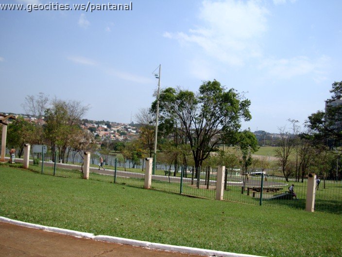 3423-geocities-ws-pantanal.jpg