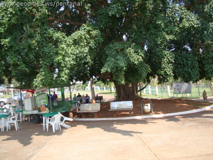 3424-geocities-ws-pantanal.jpg