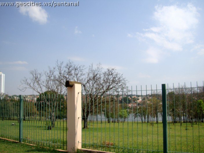 3427-geocities-ws-pantanal.jpg