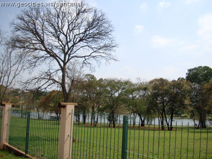3431-geocities-ws-pantanal.jpg