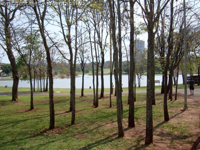 3436-geocities-ws-pantanal.jpg