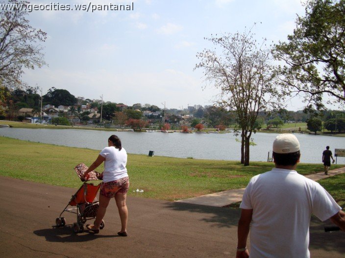 3437-geocities-ws-pantanal.jpg