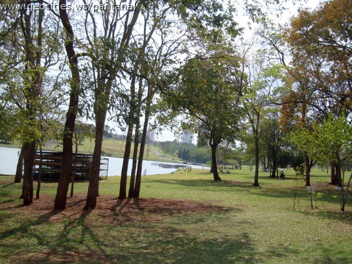 3438-geocities-ws-pantanal.jpg