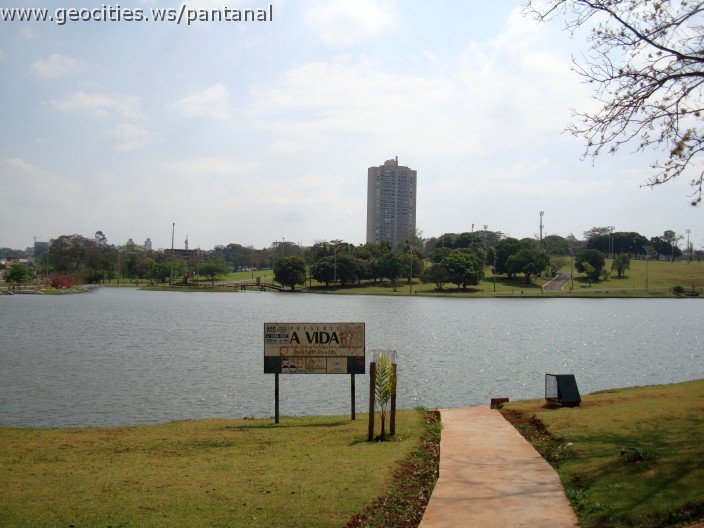 3440-geocities-ws-pantanal.jpg