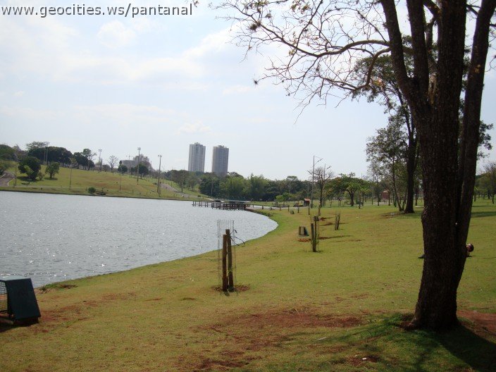 3443-geocities-ws-pantanal.jpg