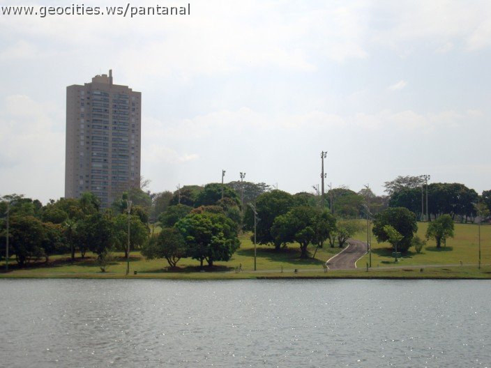 3444-geocities-ws-pantanal.jpg