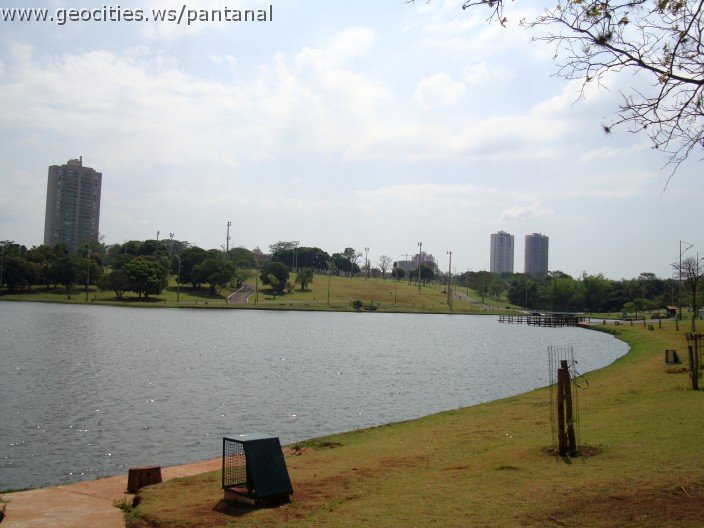 3445-geocities-ws-pantanal.jpg