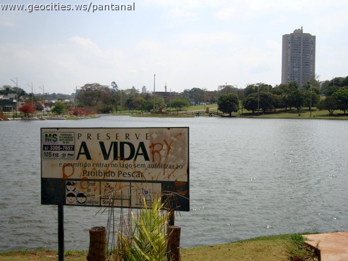 3446-geocities-ws-pantanal.jpg