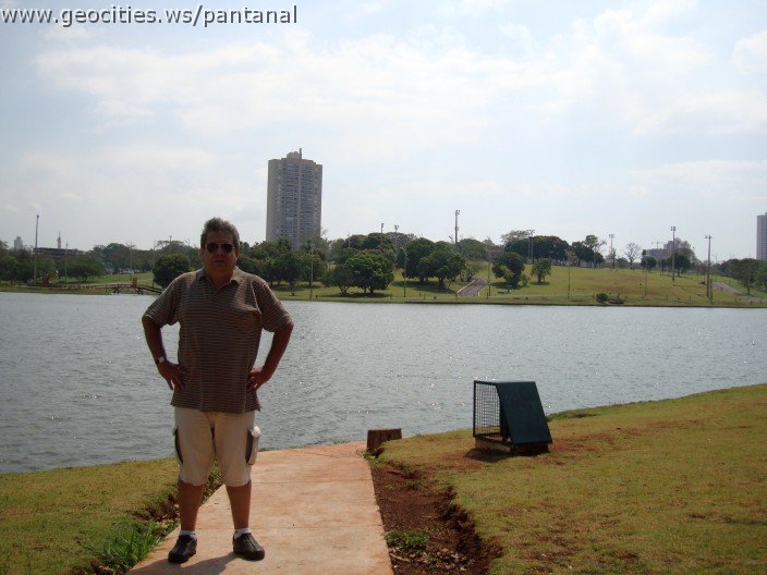 3447-geocities-ws-pantanal.jpg