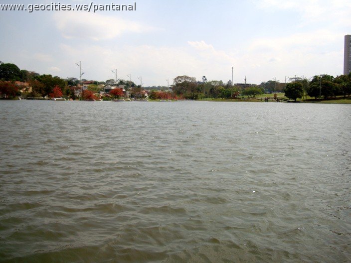 3450-geocities-ws-pantanal.jpg