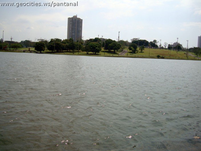 3451-geocities-ws-pantanal.jpg