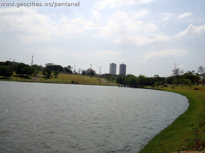 3452-geocities-ws-pantanal.jpg