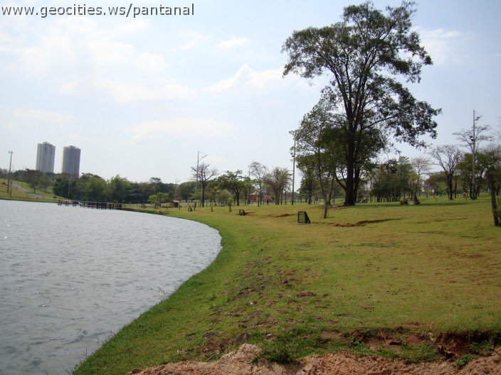 3453-geocities-ws-pantanal.jpg