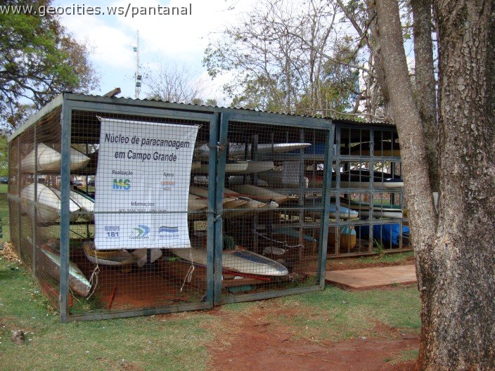 3454-geocities-ws-pantanal.jpg