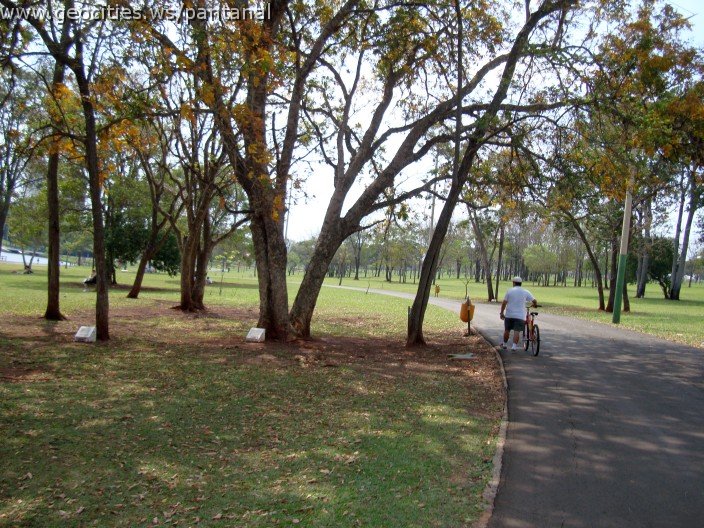 3458-geocities-ws-pantanal.jpg