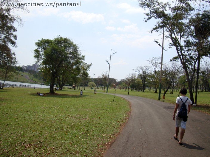 3459-geocities-ws-pantanal.jpg