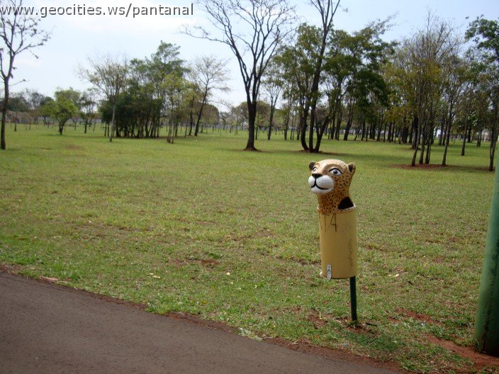 3461-geocities-ws-pantanal.jpg