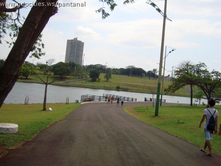 3463-geocities-ws-pantanal.jpg