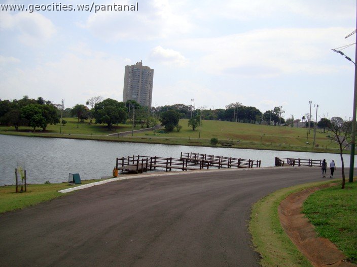 3464-geocities-ws-pantanal.jpg